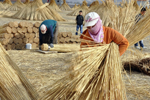 Tarımsal İşletmelere 600 Lira Destek