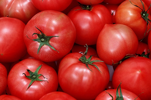 Domatesin Kilosu 9 10 Lira Olacak