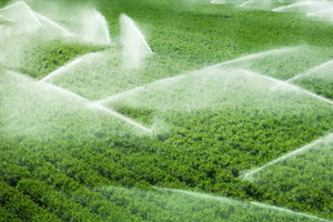 Çiftçinin Su ve Elektrik Borcu Desteklerden Kesilecek