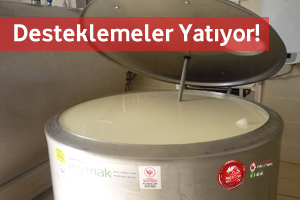 Desteklemeler Hesaplara Yatıyor