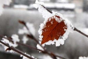 Buzlanma ve Don Geliyor