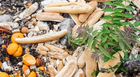 FAO DAN KAYIP GIDA UYARISI