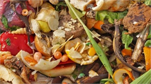 TGDF BAŞKANI NDAN GIDA İSRAFI UYARISI