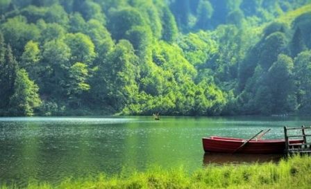 DKMP VE ÇEM GENEL MÜDÜRLÜKLERİNİ KAPATMAYIN ÇAĞRISI