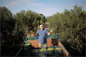 Akhisar Ticaret Borsası'ndan Zeytine Prim Teşekkürü