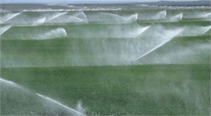 İzmirli Çiftçi 415 milyon Lira Gelir Sağladı