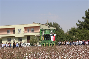 DİYARBAKIR PAMUĞU PİYASADA
