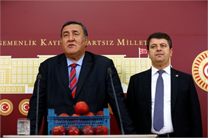 DALINDAN ALDIM 1 LİRA MECLİSE GELDİM TANESİ 2 LİRA