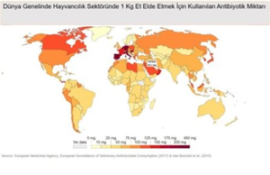 Tarım ve Hayvancılıkta Bilinçsiz İlaç Kullanımı