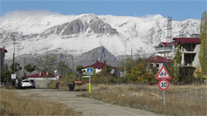 Ağaçlar Yalancı Bahara Aldandı