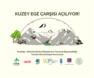 Kazdağı Edremit Körfezi için Türetim Ekonomisi