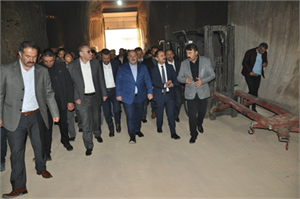 Patates Ayıkladı Tohum Sertifikasyon Müjdesi Verdi