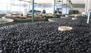 Marmarabirlik ten Dev Alım Bütçesi