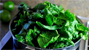 İstanbul daki gıda zehirlenmesi