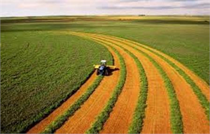 Tarımsal Desteklere Girdi Maliyeti Ayarı