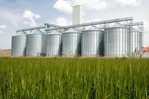 Lisanslı Depoculuğa Destek