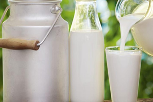 Çiğ Süt Desteklemeleri Bugün Yatıyor