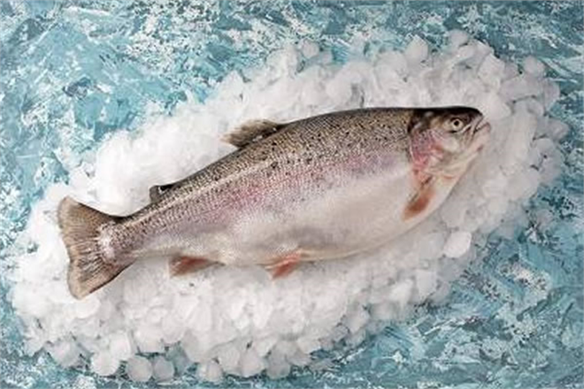 Türkiye nin O İlçe sinden Avrupa ve Uzak Doğu ya Somon İhracı