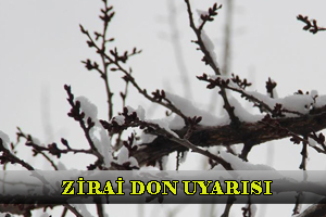 METEOROLOJİDEN UYARI ZİRAİ DON TEHLİKESİ