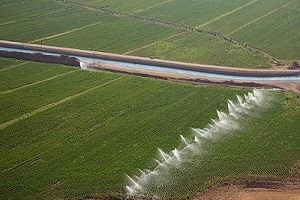 GAP ta Tarımsal İstihdam