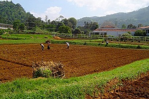 2018 in 5 Büyük Tarım Şehri Belli Oldu