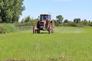 Tarımda Rekor Kırıldı