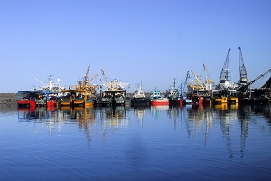 Av Yasakları Başladı