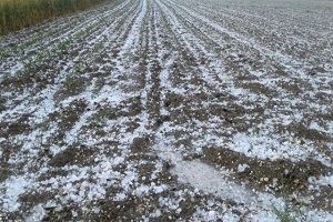 Dolu Tarım Alanlarını Vurdu