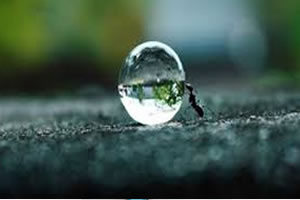 Suyun Yüzde 69 u Tarım Sektörü İçin Kullanılıyor