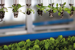 Gıda ve Tarım Teknolojileri Vadisi Bu Şehir de Kurulacak