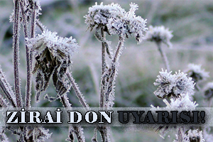 METEOROLOJİDEN UYARI ZİRAİ DON TEHLİKESİ