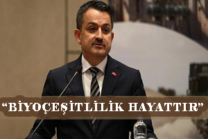 Biyoçeşitliliğin yok olması hayatın yok olmasıdır