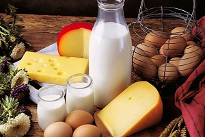 Et Süt Yumurta Üreticisine Hibe Ödemeleri Başlıyor