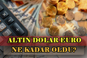 Dolar Altın Ne Kadar Oldu