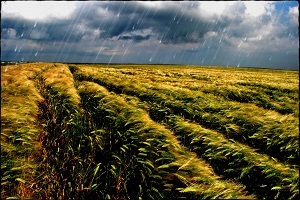 Havalar Serinleyecek Yağış Geliyor