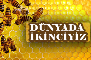 Dünyada İkinci Sıradayız