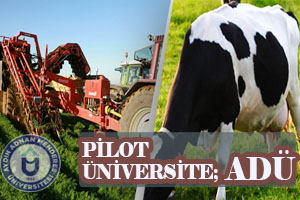 ADÜ Pilot Üniversite Oldu