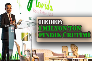 Hedef 1 Milyon Ton Fındık