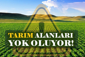 Tarım Alanları Eriyor