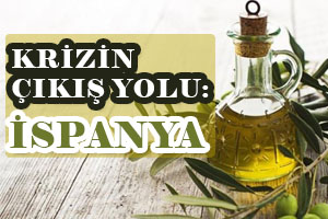 Krizin Çıkış Yolu İspanya