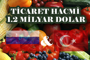 Ticaret Hacmi 1 2 Milyar Dolar