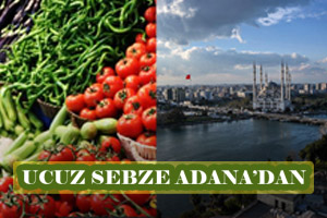 Adana Türkiye ye Ucuz Sebze Yedirecek