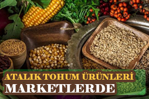 Marketlerde Atalık Tohum Ürünleri Dönemi
