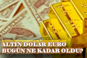 ALTIN EURO DÖVİZ FİYATLARI