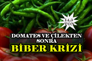 Yeşil Bibere Rusya Engeli