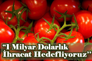Hedef 1 Milyar Dolarlık İhracat
