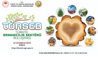 Bakan Pakdemirli Ormancılık projeleriyle cari açığı 4 milyar dolar azaltacağız