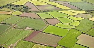 Üreticiden hisseli tapular ipotek kabul edilsin çağrısı