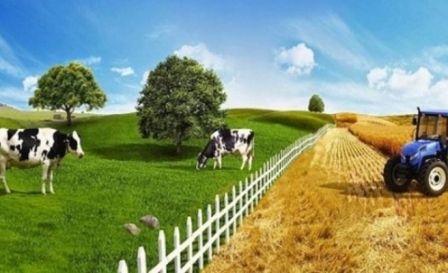 ÇİFTÇİNİN TARIM SİGORTASI BİLİNCİ ARTIYOR