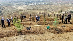 Türkiye ağaçlandırmada dünya üçüncüsü